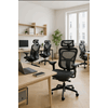 NORA OFFICE.png